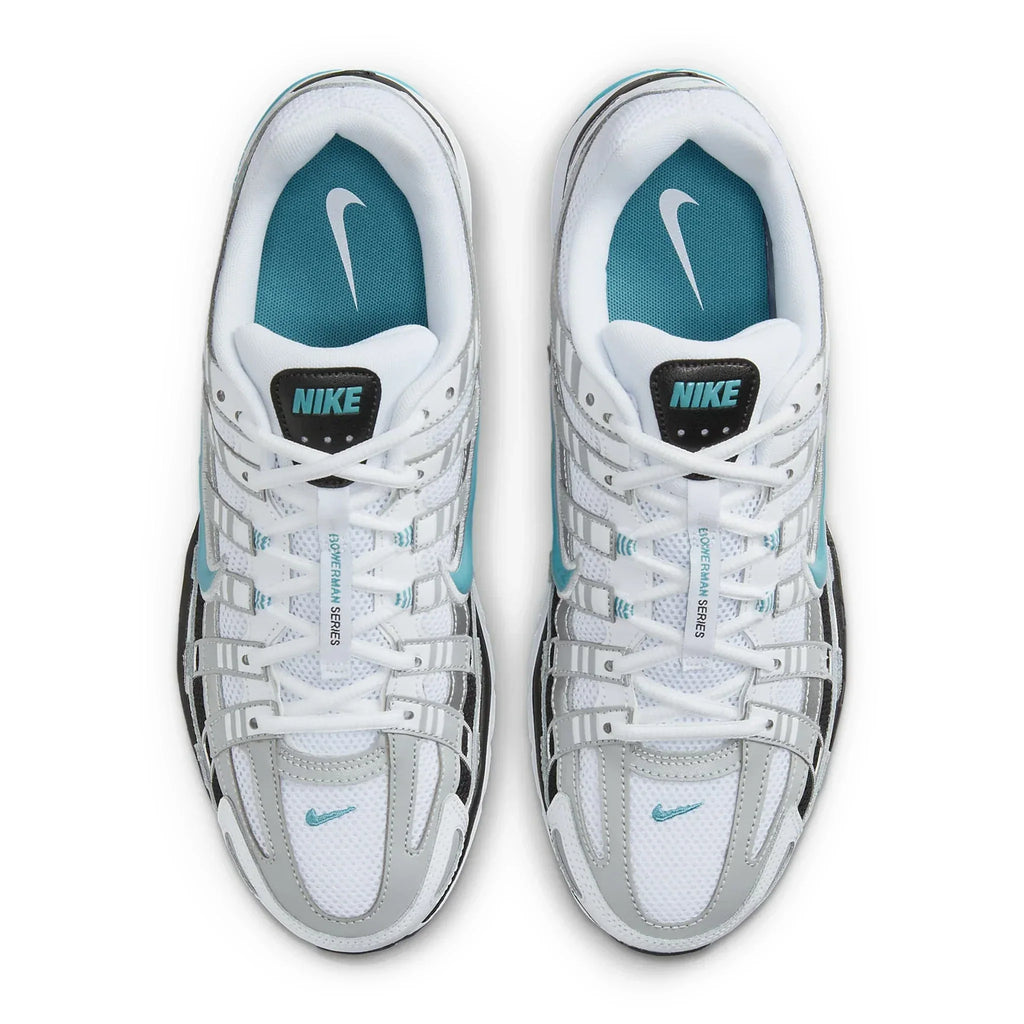 P-6000 Dusty Cactus